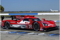 Cadillac DPi-V.R #31 Sebring 12 Hour 2021 (F. Nasr, M. Conway & P. Derani - Pole Position) Limited 300