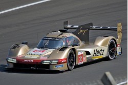 Porsche 963 #38 'Hertz Team Jota' Le Mans 24 Hour 2023 (António Félix da Costa, Will Stevens & Ye Yifei)